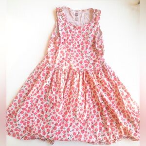 Tea Collection Apple Print Dress size 10